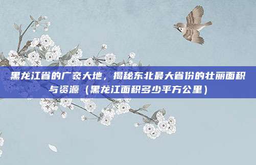 黑龙江省的广袤大地，揭秘东北最大省份的壮丽面积与资源（黑龙江面积多少平方公里）