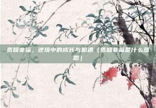 焉知非福，逆境中的成长与机遇（焉知非福是什么意思）