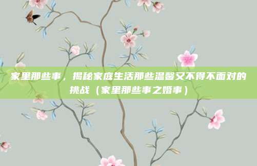 家里那些事，揭秘家庭生活那些温馨又不得不面对的挑战（家里那些事之婚事）