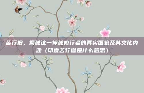 苦行僧，揭秘这一神秘修行者的真实面貌及其文化内涵（印度苦行僧是什么意思）