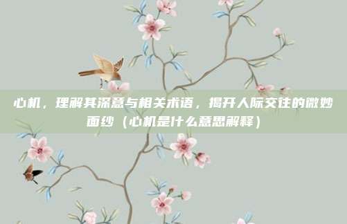 心机，理解其深意与相关术语，揭开人际交往的微妙面纱（心机是什么意思解释）