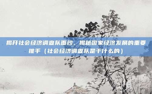 揭开社会经济调查队面纱，揭秘国家经济发展的重要推手（社会经济调查队是干什么的）