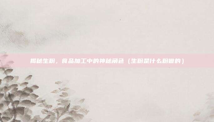 揭秘生粉，食品加工中的神秘角色（生粉是什么粉做的）