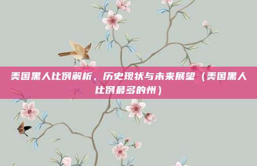 美国黑人比例解析，历史现状与未来展望（美国黑人比例最多的州）