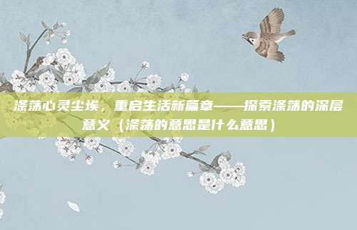 涤荡心灵尘埃，重启生活新篇章——探索涤荡的深层意义（涤荡的意思是什么意思）