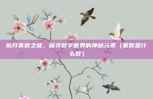 揭开素数之谜，探寻数字世界的神秘元素（素数是什么数）