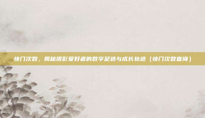 快门次数，揭秘摄影爱好者的数字足迹与成长轨迹（快门次数查询）