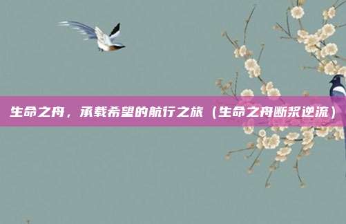 生命之舟，承载希望的航行之旅（生命之舟断浆逆流）