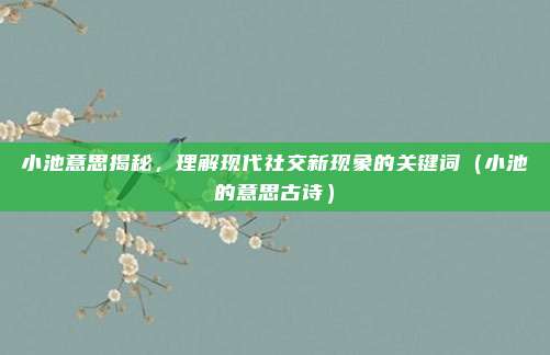 小池意思揭秘，理解现代社交新现象的关键词（小池的意思古诗）