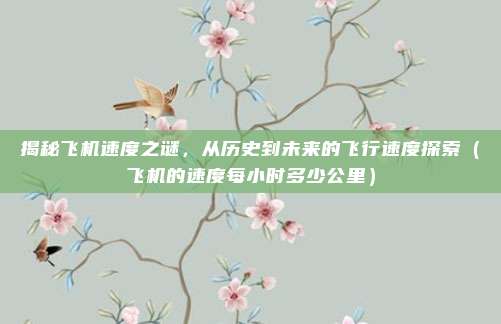 揭秘飞机速度之谜，从历史到未来的飞行速度探索（飞机的速度每小时多少公里）