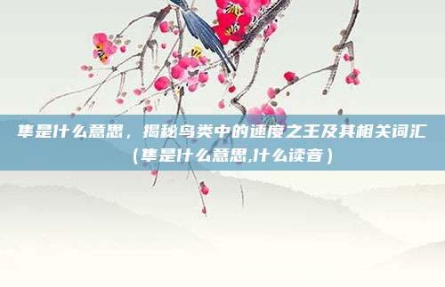隼是什么意思，揭秘鸟类中的速度之王及其相关词汇（隼是什么意思,什么读音）