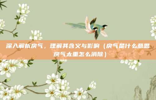 深入解析戾气，理解其含义与影响（戾气是什么意思 戾气太重怎么消除）