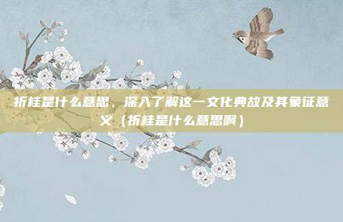 折桂是什么意思，深入了解这一文化典故及其象征意义（折桂是什么意思啊）