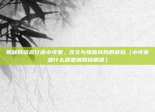 揭秘网络流行语小可爱，含义与情感共鸣的背后（小可爱是什么意思哦网络用语）