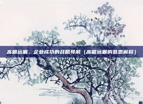 高瞻远瞩，企业成功的战略导航（高瞻远瞩的意思解释）