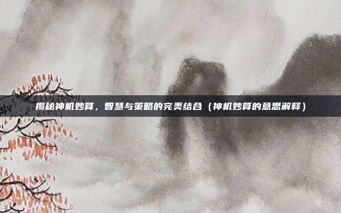 揭秘神机妙算，智慧与策略的完美结合（神机妙算的意思解释）