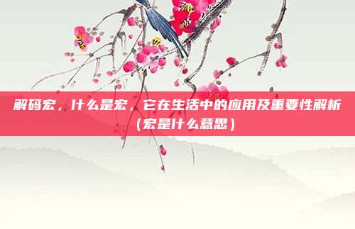 解码宏，什么是宏，它在生活中的应用及重要性解析（宏是什么意思）
