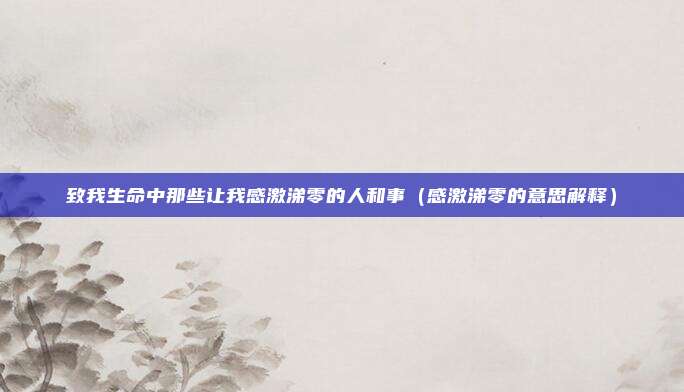 致我生命中那些让我感激涕零的人和事（感激涕零的意思解释）