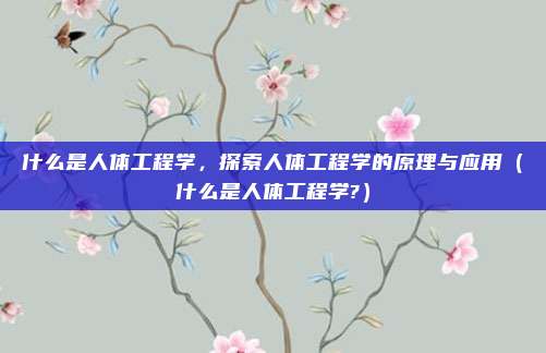 什么是人体工程学，探索人体工程学的原理与应用（什么是人体工程学?）