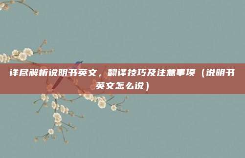 详尽解析说明书英文，翻译技巧及注意事项（说明书英文怎么说）