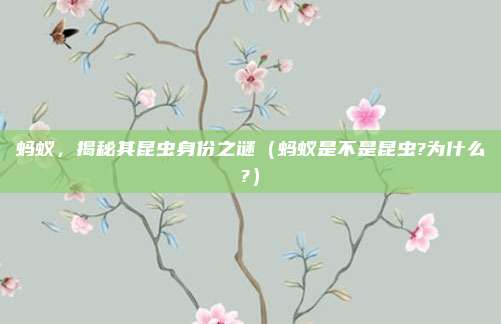 蚂蚁，揭秘其昆虫身份之谜（蚂蚁是不是昆虫?为什么?）