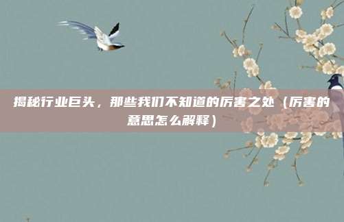 揭秘行业巨头，那些我们不知道的厉害之处（厉害的意思怎么解释）
