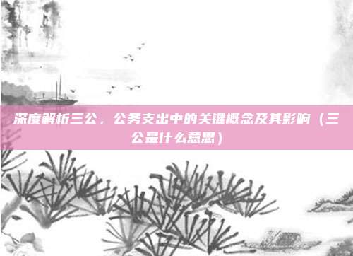 深度解析三公，公务支出中的关键概念及其影响（三公是什么意思）