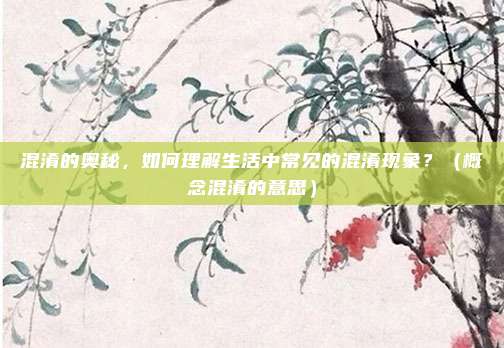 混淆的奥秘，如何理解生活中常见的混淆现象？（概念混淆的意思）