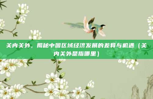 关内关外，揭秘中国区域经济发展的差异与机遇（关内关外是指哪里）