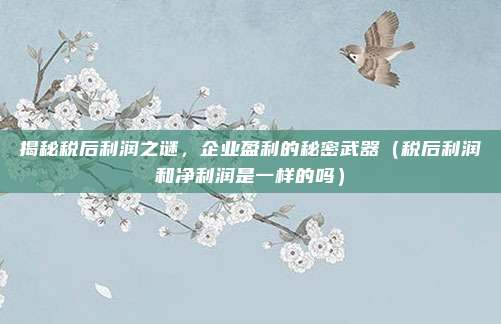 揭秘税后利润之谜，企业盈利的秘密武器（税后利润和净利润是一样的吗）