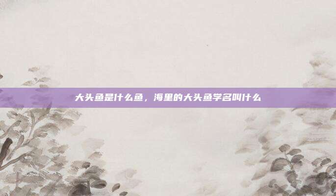 大头鱼是什么鱼,海里的大头鱼学名叫什么