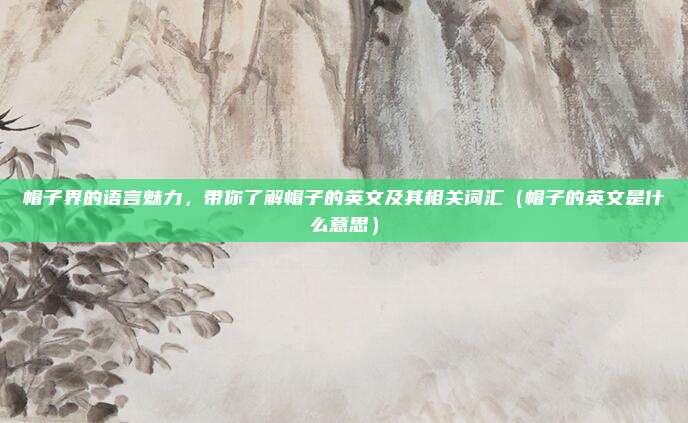 帽子界的语言魅力，带你了解帽子的英文及其相关词汇（帽子的英文是什么意思）