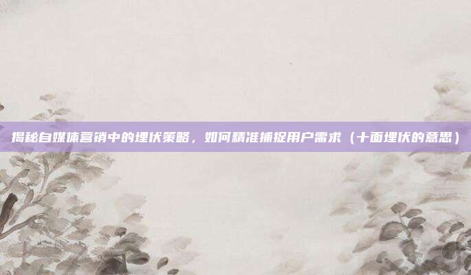 揭秘自媒体营销中的埋伏策略，如何精准捕捉用户需求（十面埋伏的意思）