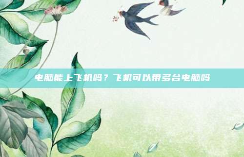电脑能上飞机吗？飞机可以带多台电脑吗