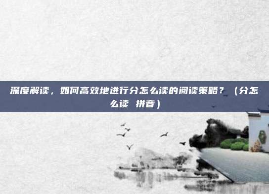 深度解读，如何高效地进行分怎么读的阅读策略？（分怎么读 拼音）