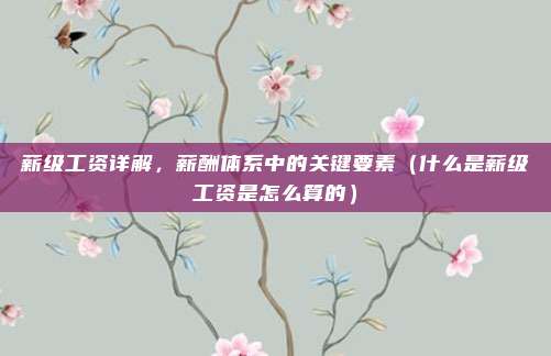 薪级工资详解，薪酬体系中的关键要素（什么是薪级工资是怎么算的）