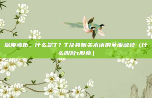 深度解析，什么是T？T及其相关术语的全面解读（什么叫做t股票）