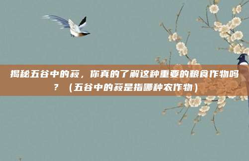 揭秘五谷中的菽，你真的了解这种重要的粮食作物吗？（五谷中的菽是指哪种农作物）