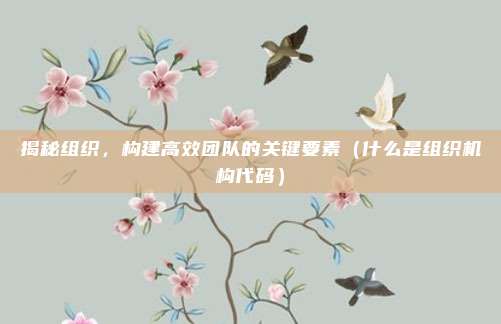 揭秘组织，构建高效团队的关键要素（什么是组织机构代码）