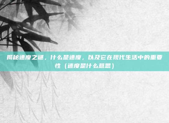 揭秘速度之谜，什么是速度，以及它在现代生活中的重要性（速度是什么意思）