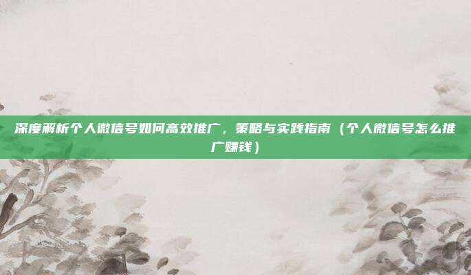 深度解析个人微信号如何高效推广，策略与实践指南（个人微信号怎么推广赚钱）
