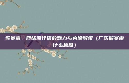 猴赛雷，网络流行语的魅力与内涵解析（广东猴赛雷什么意思）