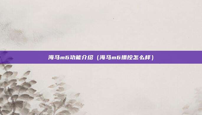 海马m6功能介绍（海马m6操控怎么样）