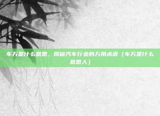车万是什么意思，揭秘汽车行业的万用术语（车万是什么意思人）