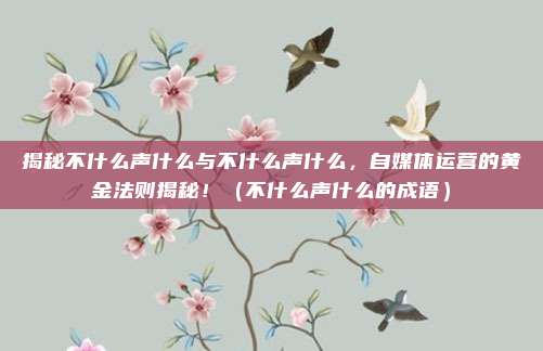 揭秘不什么声什么与不什么声什么，自媒体运营的黄金法则揭秘！（不什么声什么的成语）