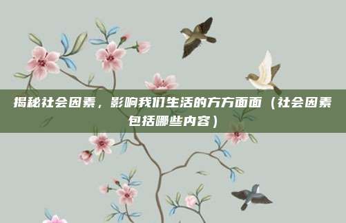 揭秘社会因素，影响我们生活的方方面面（社会因素包括哪些内容）