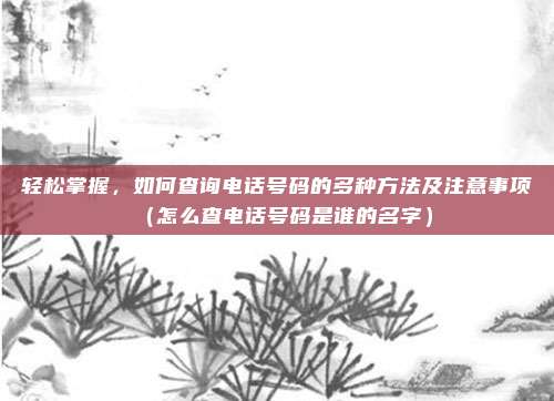 轻松掌握，如何查询电话号码的多种方法及注意事项（怎么查电话号码是谁的名字）