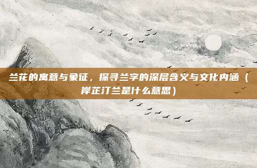 兰花的寓意与象征，探寻兰字的深层含义与文化内涵（岸芷汀兰是什么意思）