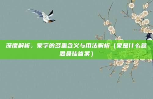 深度解析，蒙字的多重含义与用法解析（蒙是什么意思最佳答案）