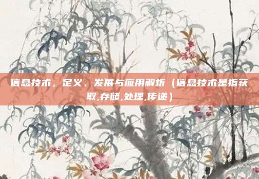 信息技术，定义、发展与应用解析（信息技术是指获取,存储,处理,传递）